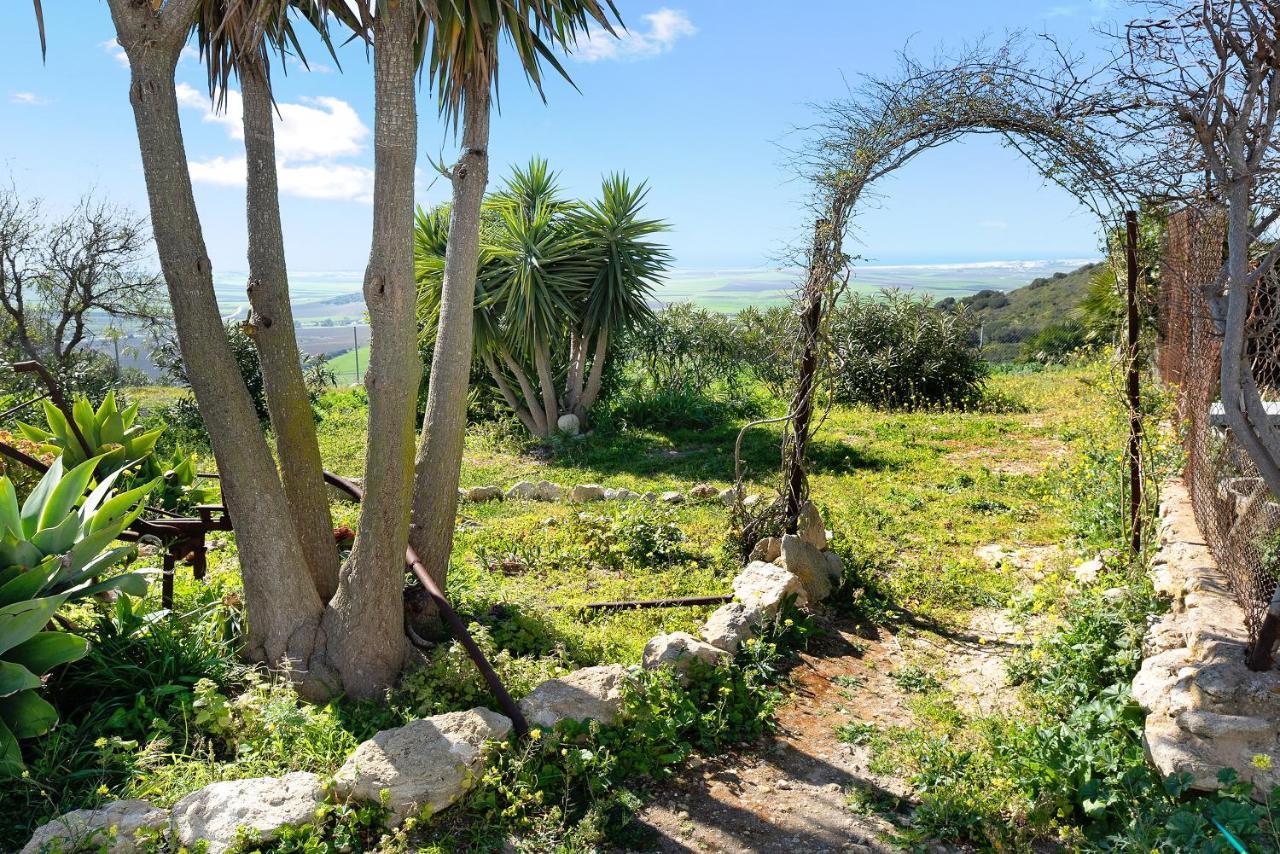 Las Ninas Vejer de la Frontera Dış mekan fotoğraf