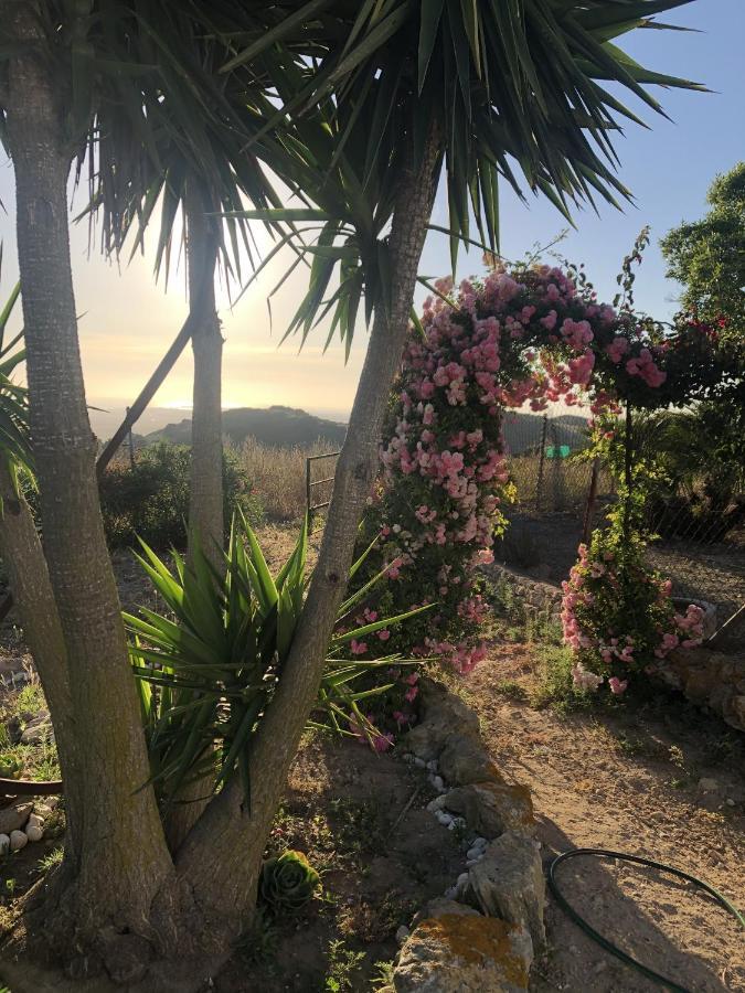 Las Ninas Vejer de la Frontera Dış mekan fotoğraf